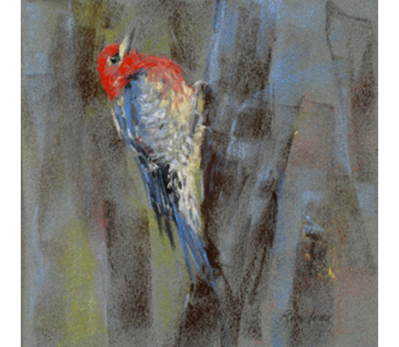 Randena Walsh "Red-breasted Sapsucker"